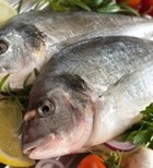צריכת דגים מול תוספי תזונה אומגה 3 (אילוסטרציה)