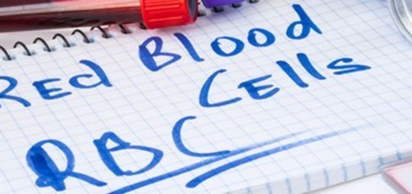 ספירת כדוריות דם אדומות (Red Blood Cells - RBC) - תמונה