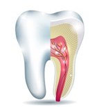 טיפול שורש - תמונת אווירה טיפול שורש - תמונת אווירה