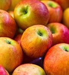 תפוחים ופעילות מינית (אילוסטרציה) תפוחים ופעילות מינית (אילוסטרציה)