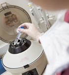 תוחלת החיים של רקמת השחלה עשר שנים ומעלה (אילוסטרציה shutterstock) תוחלת החיים של רקמת השחלה עשר שנים ומעלה (אילוסטרציה shutterstock)