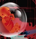 הריון: בדיקות שיסירו חשש מהלב-תמונה הריון: בדיקות שיסירו חשש מהלב-תמונה