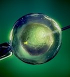 טיפולי IVF: כך נמנע כישלון חוזר