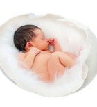 צילום:שאטרסטוק צילום:שאטרסטוק