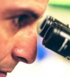 תאי גזע עובריים הושתלו ברשתית-תמונה תאי גזע עובריים הושתלו ברשתית-תמונה