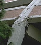 החיים בקו האש-תמונה החיים בקו האש-תמונה