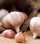 האם שום מוריד לחץ דם?-תמונה האם שום מוריד לחץ דם?-תמונה