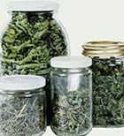 על החי והצומח-תמונה על החי והצומח-תמונה