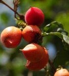 אפדרין - תמונת אווירה אפדרין - תמונת אווירה