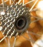 מדריך ספינינג - חלק ראשון-תמונה מדריך ספינינג - חלק ראשון-תמונה