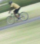 'כמו לרכב על אופניים' -  עבודת פרך על שני גלגלים