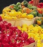תזונת ירקות: לכל גוון יש משמעות-תמונה