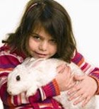 מדור טיפים מס' 19-תמונה מדור טיפים מס' 19-תמונה