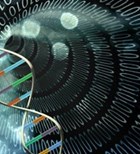 מחקר: מי יחלה בלוקמיה?-תמונה מחקר: מי יחלה בלוקמיה?-תמונה