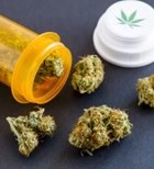 קנאביס רפואי יעיל גם לילדים-תמונה קנאביס רפואי יעיל גם לילדים-תמונה