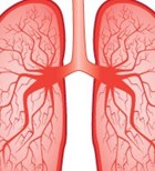 COPD: מה אתם יודעים עליה?-תמונה COPD: מה אתם יודעים עליה?-תמונה