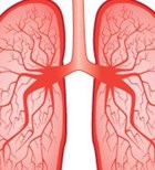 COPD (אילוסטרציה)