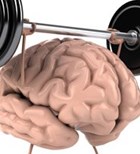 שבץ: תנו למוח את הכוח-תמונה שבץ: תנו למוח את הכוח-תמונה