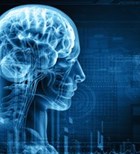 בין פרפור פרוזדורים לשבץ מוחי-תמונה בין פרפור פרוזדורים לשבץ מוחי-תמונה