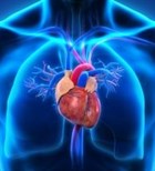 דלקת קרום הלב: תסמינים וטיפול-תמונה
