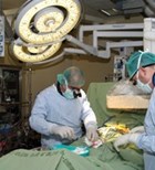 הרופאים: נציל את מערכת הבריאות הרופאים: נציל את מערכת הבריאות