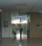 בי'ח זיו בי'ח זיו