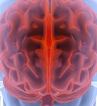 האם ניתן לבדוק כוונה פלילית?-תמונה האם ניתן לבדוק כוונה פלילית?-תמונה