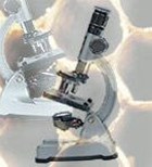 לוחמה ביולוגית לוחמה ביולוגית