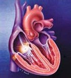 בנוגע ללב בנוגע ללב