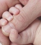 חדש בדוקטורס - הלכה ורפואה חדש בדוקטורס - הלכה ורפואה