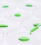 איידס - והפעם חדשות טובות איידס - והפעם חדשות טובות