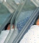 מכרז התמ'ל יוצא לדרך מכרז התמ'ל יוצא לדרך