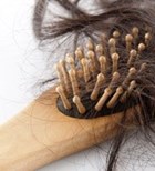 נשירת שיער (אילוסטרציה) נשירת שיער (אילוסטרציה)