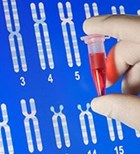בדיקת צ'יפ גנטי: מתי לבצע?