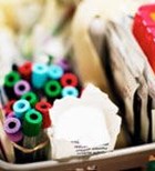 מחקר: פירוק בונה מחקר: פירוק בונה