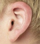 אוזניים: כל מה שרציתם לשמוע-תמונה