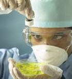 הורמון גדילה: הטבעת הולכת ומתהדקת הורמון גדילה: הטבעת הולכת ומתהדקת