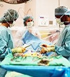 חוקים חדשים להסדרת ההשתלות בישראל חוקים חדשים להסדרת ההשתלות בישראל