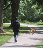 אושר: חוק אוויר נקי אושר: חוק אוויר נקי