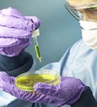 חולי שפעת החזירים - לקופת חולים חולי שפעת החזירים - לקופת חולים