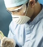 שפעת החזירים: ממצב אנוש לשיקום-תמונה שפעת החזירים: ממצב אנוש לשיקום-תמונה