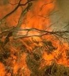 איך לעבור את ל'ג בעומר בשלום איך לעבור את ל'ג בעומר בשלום