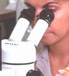 יותר דליל יותר מרוכז?-תמונה יותר דליל יותר מרוכז?-תמונה