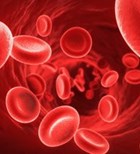 נוגדי הקרישה החדשים אינם עדיפים-תמונה נוגדי הקרישה החדשים אינם עדיפים-תמונה