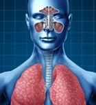 תפקוד בעת מחלת ריאות חסימתית כרונית (COPD)  (אילוסטרציה)